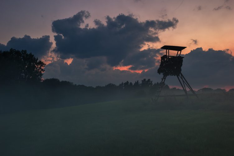 Hochstand in Albach