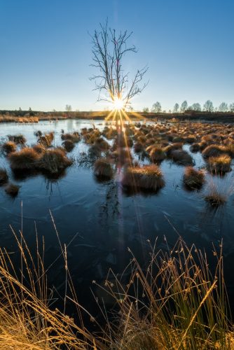 Hohes Venn (Belgien)