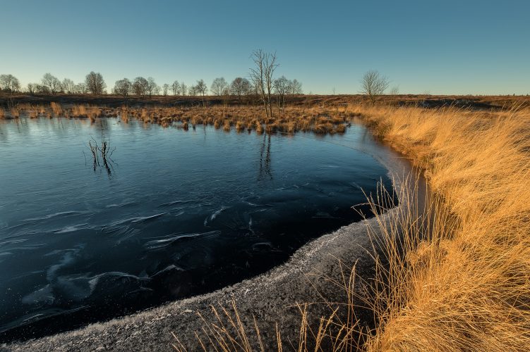 Hohes Venn (Belgien)