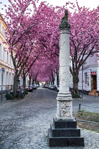 Heerstraße (Bonn)